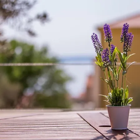 Apartament Olive
